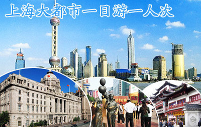 上海大都市一日游一人 - 上海团购网|京东团购